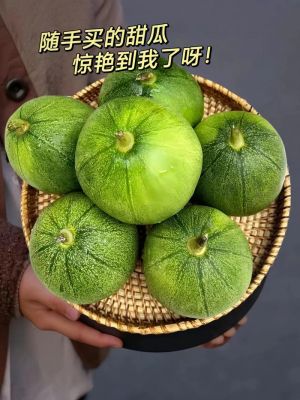 甜瓜姐姐的游戏攻略，甜瓜姐姐搞什么？
