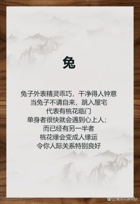 御宅伴侣图文攻略有哪些?