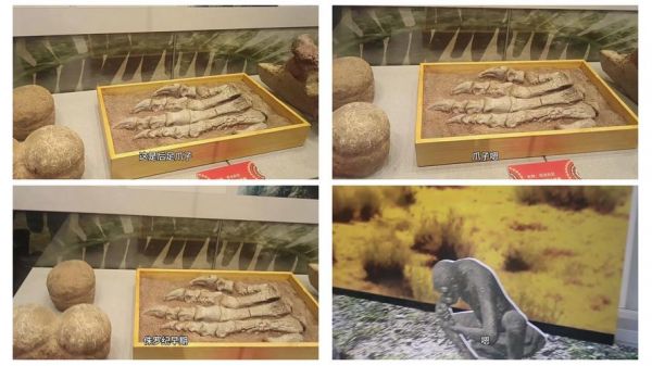 物种起源攻略雷电化石猎人之旅探索古代世界的远古生物