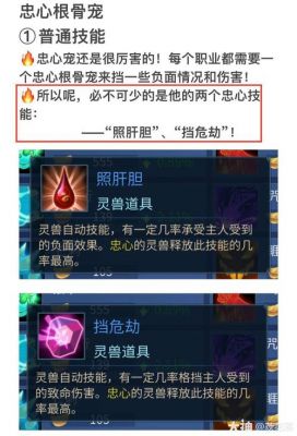 倩女幽魂69魅者攻略，倩女幽魂手游魅者69
