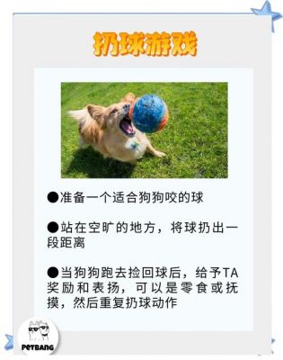 养只宠物球攻略(《养只宠物球》小游戏玩法攻略)介绍_养只宠物球攻略...