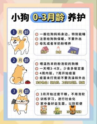 宠物小狗养成游戏攻略