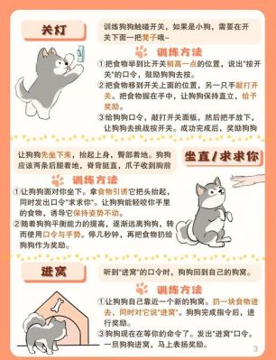 不要动小狗游戏攻略，别动小狗游戏在线玩