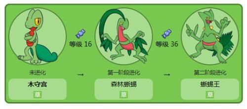游戏蜥蜴大进化攻略？蜥蜴进化论？