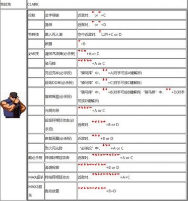 霸王忍法帖出招表