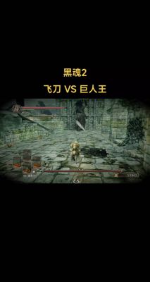 《黑暗之魂2》最强职业推荐攻略介绍_《黑暗之魂2》最强职业推荐攻略是...