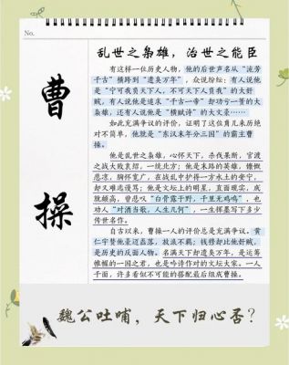 除了曹操传之外还有什么传?
