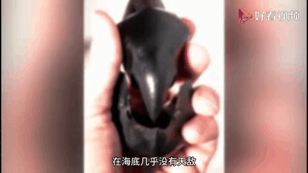 恐怖老屋尝试按下所有牙齿怎么按