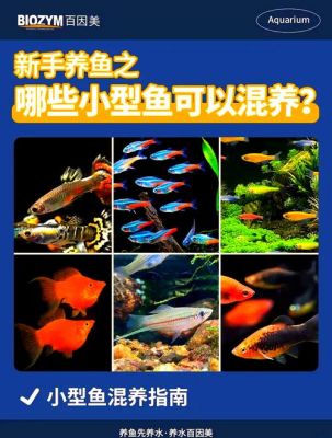 养鱼情侣游戏攻略