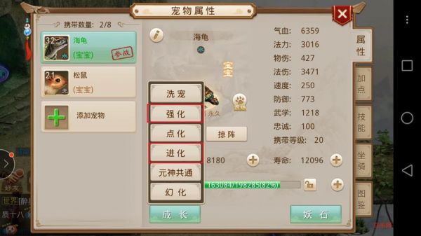 问道宠物如何强化?