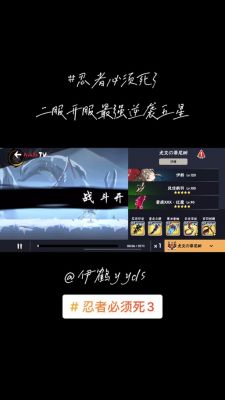 口袋妖怪心魂之羽全攻略