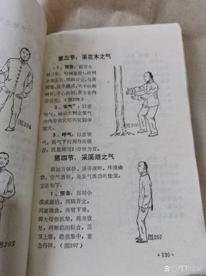 独步武林是什么意思