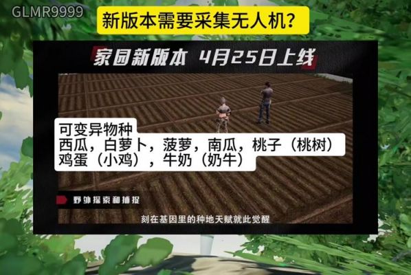 明日之后如何种植