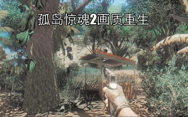 孤岛惊魂2游戏攻略