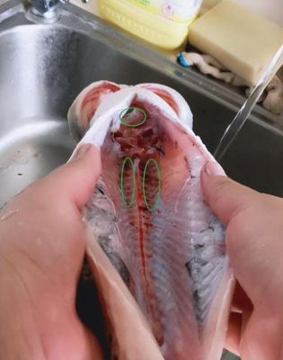 鲤鱼和鲢鱼的肚子里为什么会有一层薄薄的黑膜?