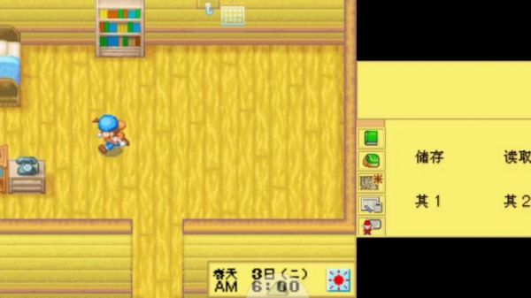 PS2牧场物语拯救家园