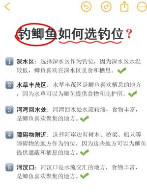 黑坑钓鲫鱼鲤鱼全攻略