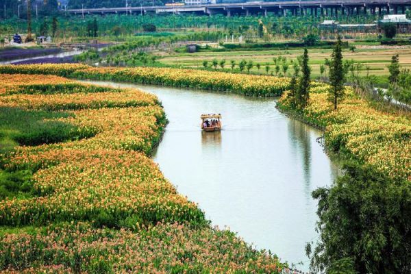 东莞华阳湖湿地公园有什么好玩的景点
