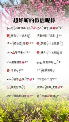 简单好听的微信名两字534个