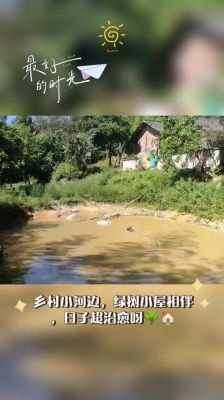 返回乡村游戏攻略