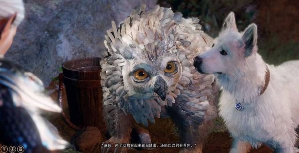 博德之门3枭熊怎么驯服