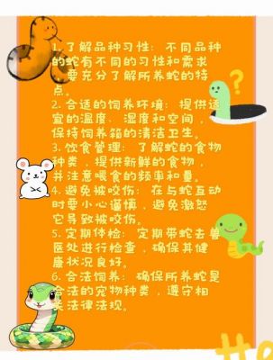新手喂养宠物蛇的攻略指南有哪些?