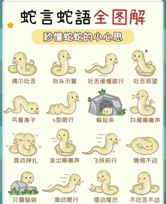 饲养一只宠物蛇有哪些注意事项?