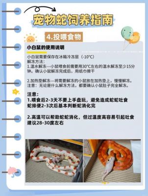 养宠物蛇的攻略有哪些?