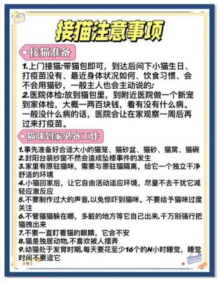 悬赏猫真的能赚钱吗安全吗?4年老司机告诉你答案