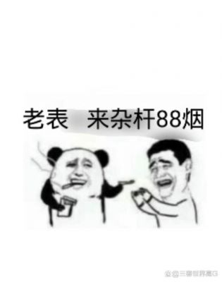 包头话的语言格局