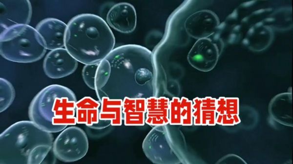 从细胞到智慧生命,进化小游戏在线游玩攻略