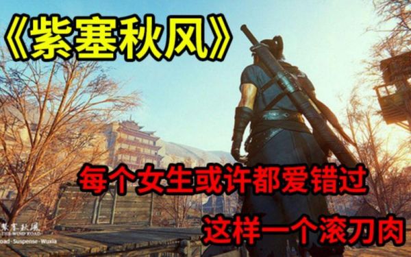 紫塞秋风滚刀肉,武侠梦的深度解析与游戏攻略
