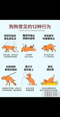 逃出宠物狗房间怎么玩