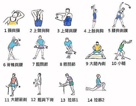 求体育课的热身小游戏