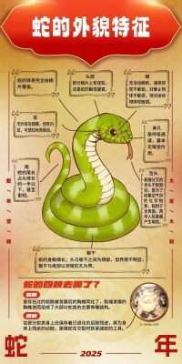 蛇上而生,新手指南详细介绍