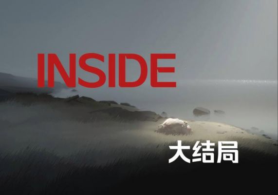 Inside全收集攻略介绍_Inside全收集攻略是什么