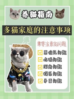 养只宠物球怎么联网激活应用