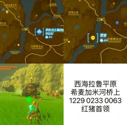 王国之泪精力鲈鱼在哪