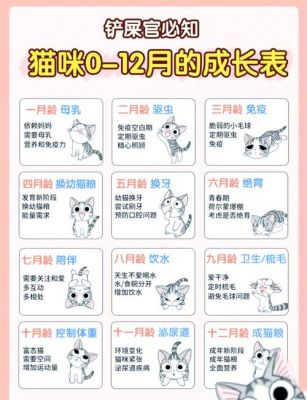 cats攻略阶段游戏猫咪攻略指南