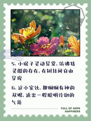 我喜欢猴子写几句话