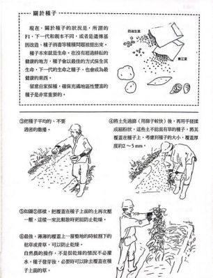 模拟农场17全面攻略:从入门到精通的种植与管理技巧