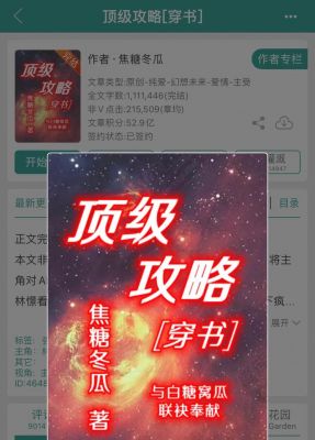 顶级攻略讲的什么