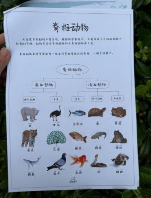 探索自然奥秘,看图猜动物游戏全攻略