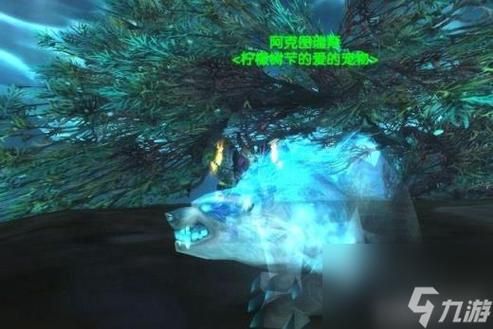 魔兽世界太阳井开荒基尔加丹兽王猎人怎么提高DPS