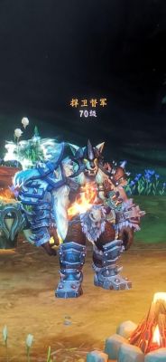 WOW制皮到底做什么甲啊,听说锁甲也是制皮做的