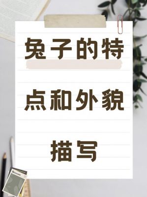 兔子乐于助人吗?