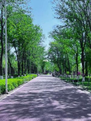 鲤鱼山公园怎么样