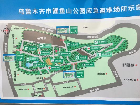 年鲤鱼山公园游玩攻略