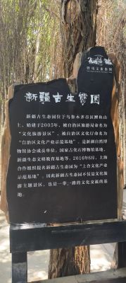 鲤鱼山乌鲁木齐鲤鱼山公园