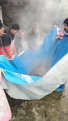 冷水烫猪蚂蚁庄园